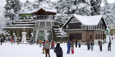 Image Gallery